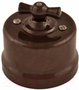 Выключатель Electraline B1-201-22 - фото