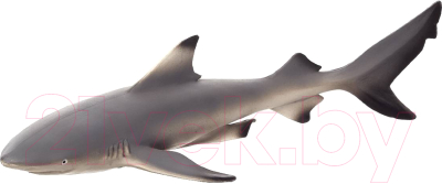 Фигурка коллекционная Konik Черноперая рифовая акула / AMS3026 - фото
