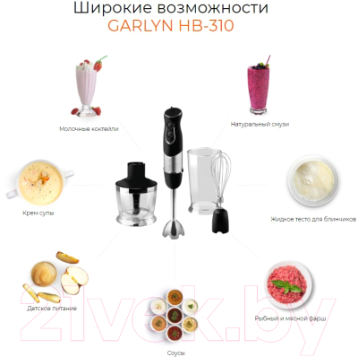 Блендер погружной Garlyn HB-310