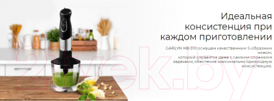 Блендер погружной Garlyn HB-310