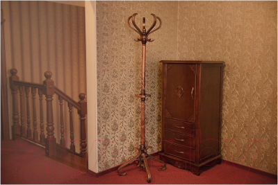 Вешалка для одежды Мебелик В 10Н