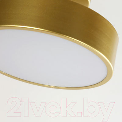 Потолочный светильник FAVOURITE 3059-2P