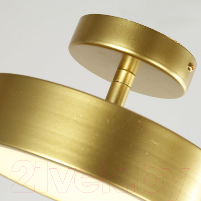 Потолочный светильник FAVOURITE 3059-2P