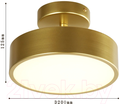 Потолочный светильник FAVOURITE 3059-2P