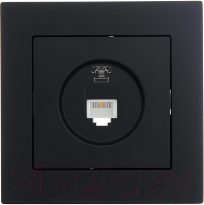 Розетка Lezard Vesna 742-4288-139