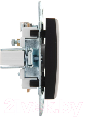 Розетка Lezard Vesna 742-4288-130