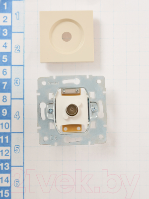 Розетка Lezard Vesna 742-0388-130