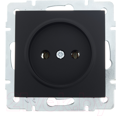 Розетка Lezard Vesna 742-4288-121B - фото