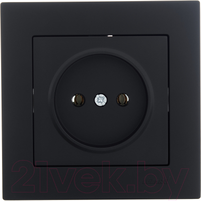 Розетка Lezard Vesna 742-4288-121B