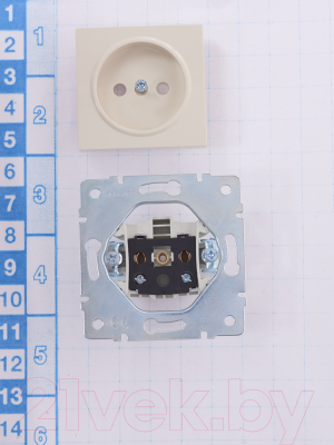 Розетка Lezard Vesna 742-0388-121B