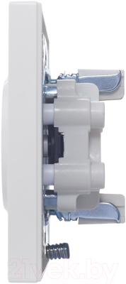 Розетка Lezard Vesna 742-0200-128B