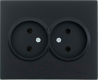 Розетка Lezard Vesna 742-4200-128B - фото