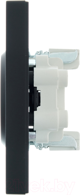 Розетка Lezard Vesna 742-4200-128B