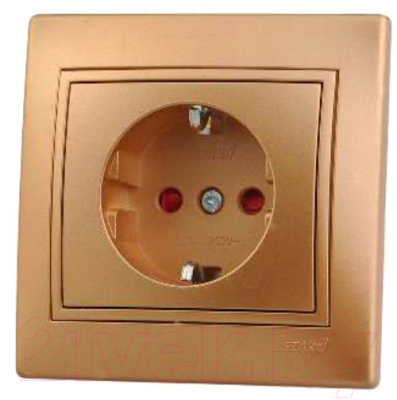 Розетка Lezard Mira 701-1313-124 - фото