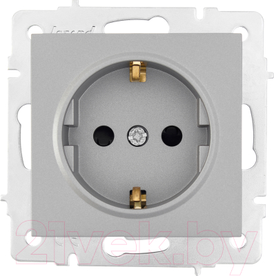 Розетка Lezard Vesna 742-3588-124B - фото