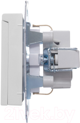 Розетка Lezard Vesna 742-0288-123B