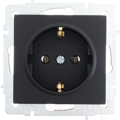 Розетка Lezard Vesna 742-4288-122B - фото