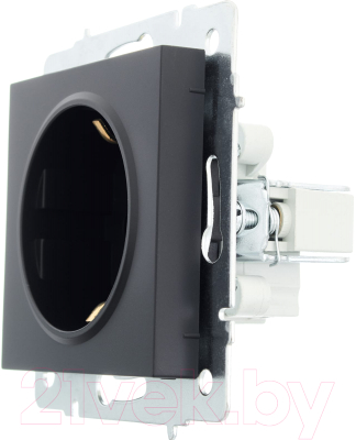 Розетка Lezard Vesna 742-4288-122B