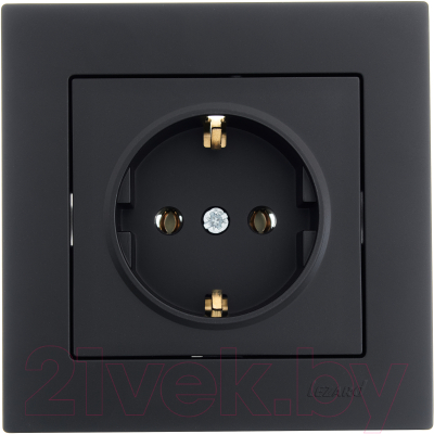 Розетка Lezard Vesna 742-4288-122B