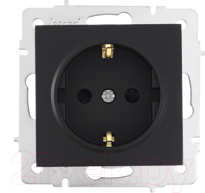 Розетка Lezard Vesna 742-4288-124B - фото