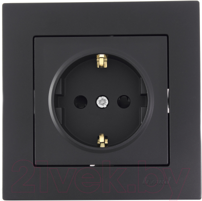 Розетка Lezard Vesna 742-4288-124B