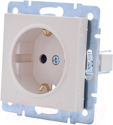 Розетка Lezard Vesna 742-0388-124B