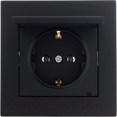 Розетка Lezard Vesna 742-4288-123B