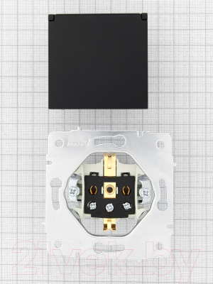 Розетка Lezard Vesna 742-4288-123B