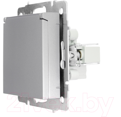 Розетка Lezard Vesna 742-3588-123B