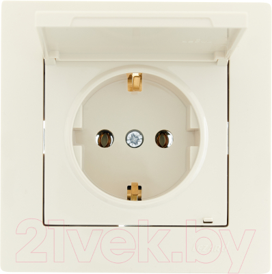 Розетка Lezard Vesna 742-0388-123B