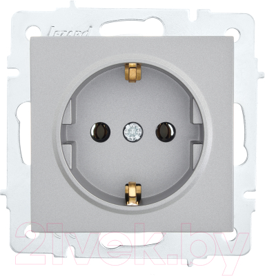 Розетка Lezard Vesna 742-3588-122B - фото