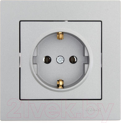 Розетка Lezard Vesna 742-3588-122B