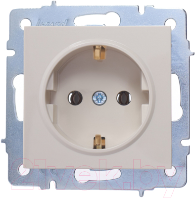 Розетка Lezard Vesna 742-0388-122B - фото