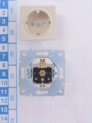 Розетка Lezard Vesna 742-0388-122B