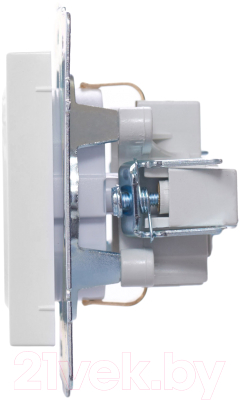 Розетка Lezard Vesna 742-0288-122B