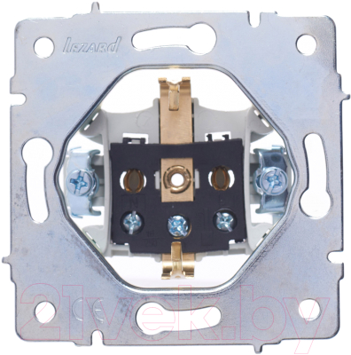 Розетка Lezard Vesna 742-0288-122B