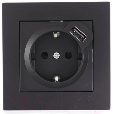 Розетка Lezard Vesna 742-4288-181