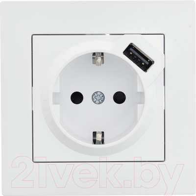 Розетка Lezard Vesna 742-0288-181