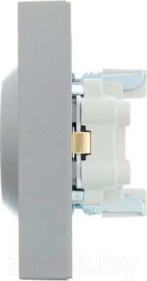 Розетка Lezard Vesna 742-3500-178B