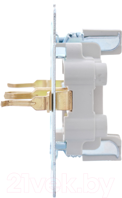 Розетка Lezard Vesna 742-0200-178B