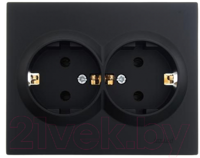 Розетка Lezard Vesna 742-4200-127B - фото