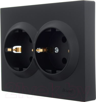 Розетка Lezard Vesna 742-4200-127B