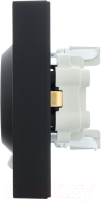 Розетка Lezard Vesna 742-4200-127B