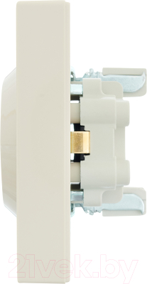 Розетка Lezard Vesna 742-0300-127B