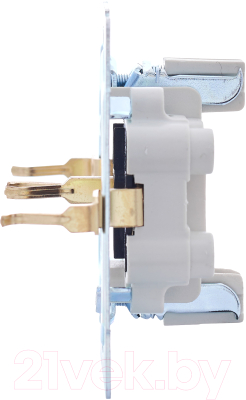 Розетка Lezard Vesna 742-0300-178B