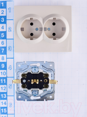 Розетка Lezard Vesna 742-0300-178B