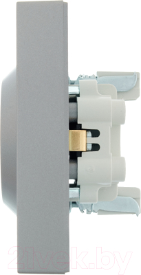 Розетка Lezard Vesna 742-3500-127B