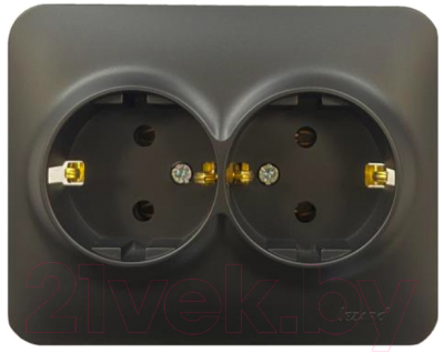 Розетка Lezard Karina Life 708-4200-127B - фото