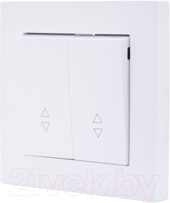 Выключатель Lezard Vesna 742-0288-106