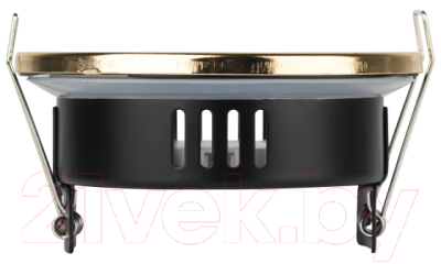 Точечный светильник ЭРА KL95 GD GX53 IP44 / Б0055810